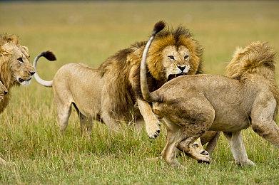 外媒赞《龙腾世纪4》顶着玩家恶意攻击 大获成功